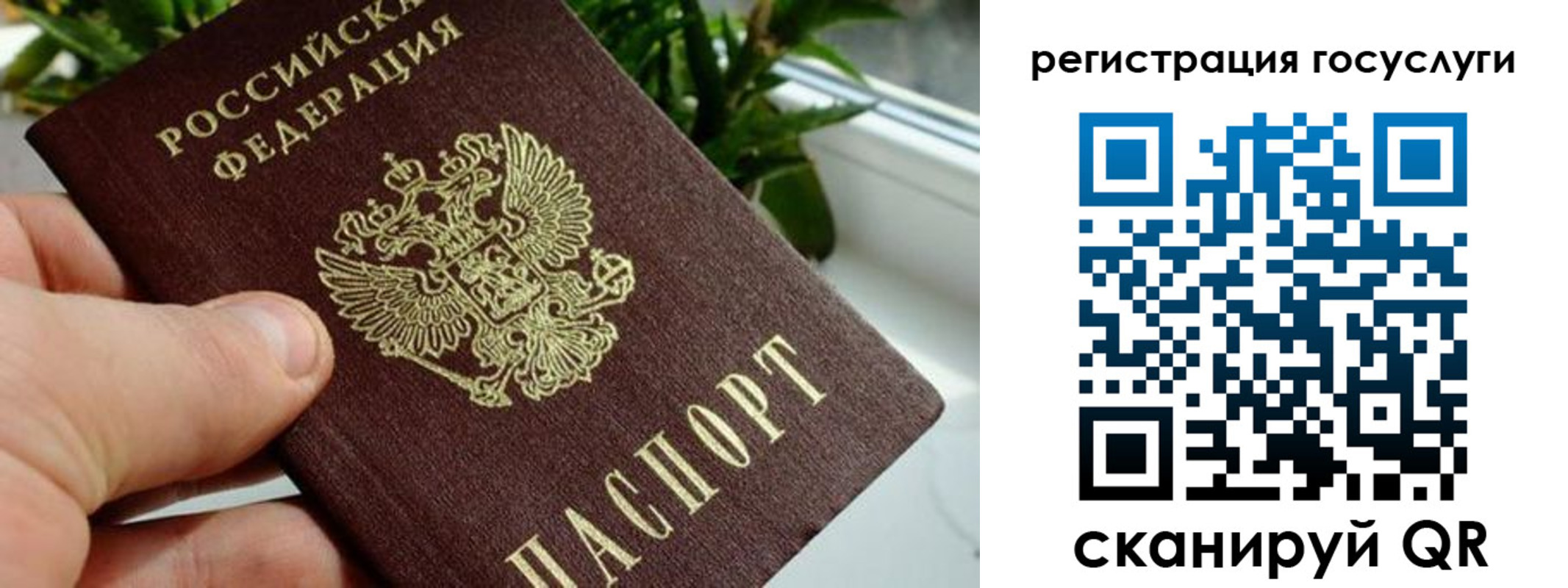 прописка для кредита в Дятьково